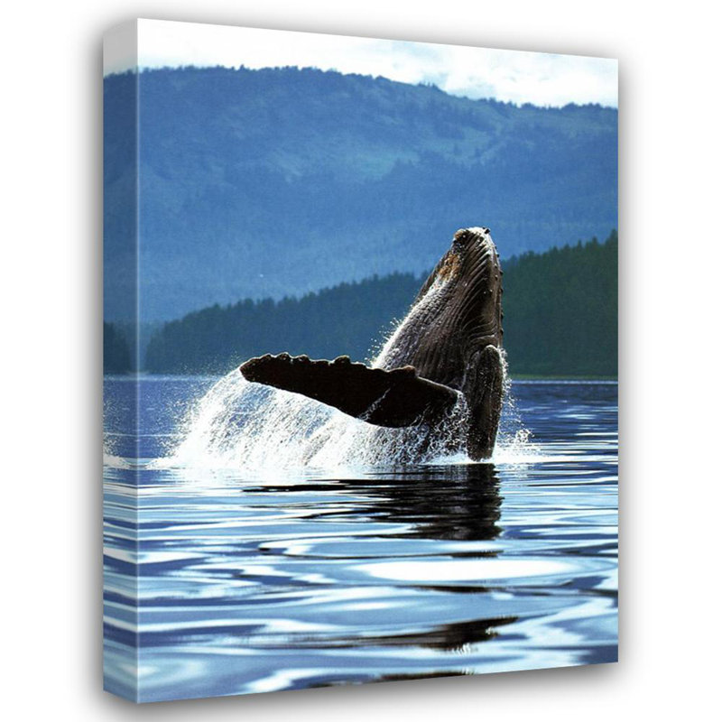 Humpback Whale, 18" H x 13" W