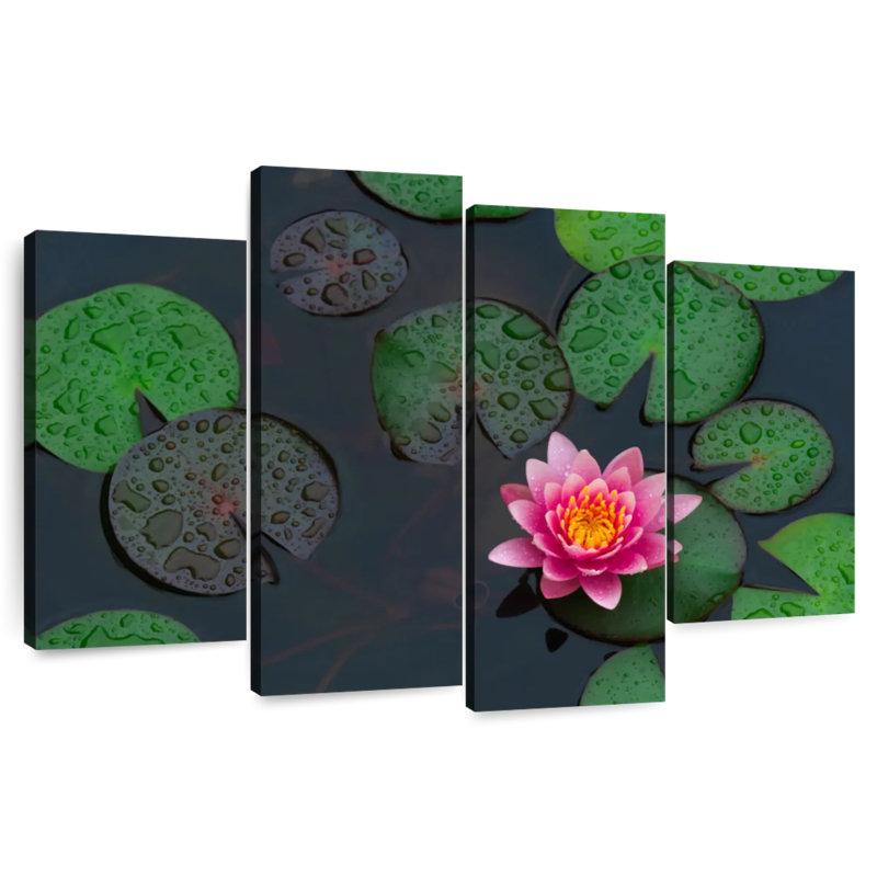 Harnek Lotus sous la pluie, H 54 po x l 84 po