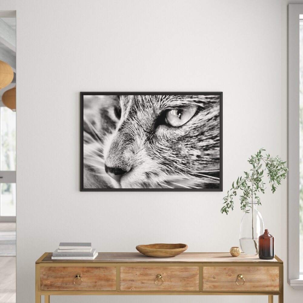 Gerahmtes Wandbild Katze mit blauen Augen