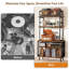 172 cm H Media Shelves