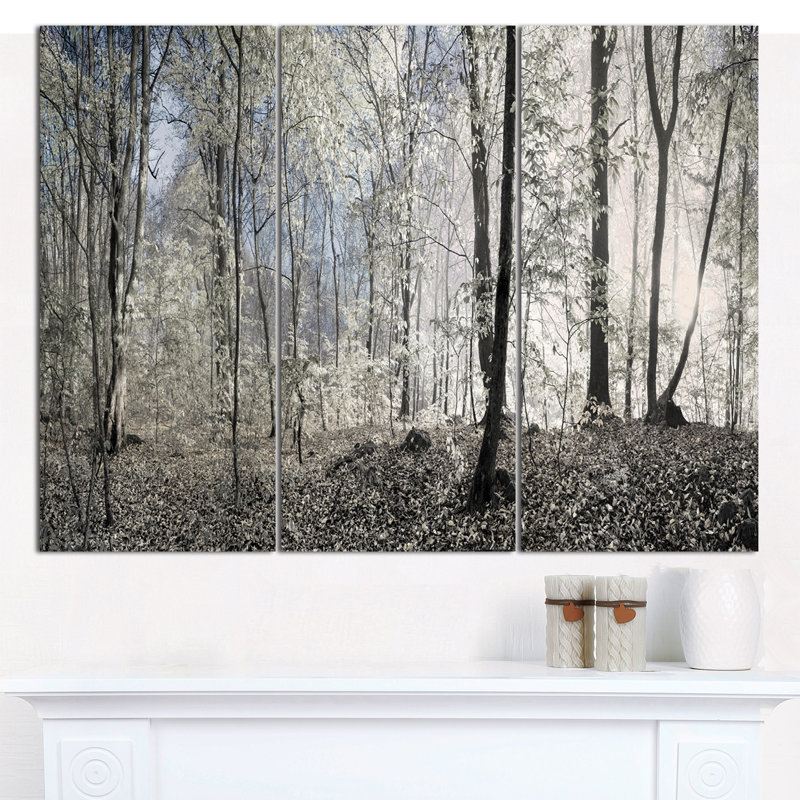 « Dark Morning in Forest Panorama », reproduction de photo à multiples images sur toile