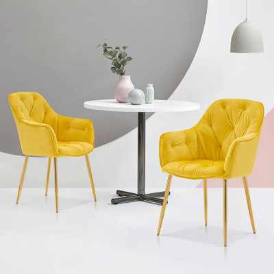 Ensemble de chaises de salle à manger, chaise d'appoint avec pieds dorés et siège rembourré