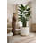 Travelers Palm Planter Insert (Large)