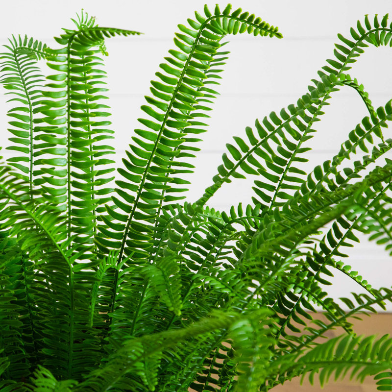 UV Resistant Artificial Boston Fern Plant With Real Touch Leaves (Indoor/Outdoor), 36" H x 40" W x 40" D