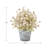 Artificial Thyme In Pot-1361266928