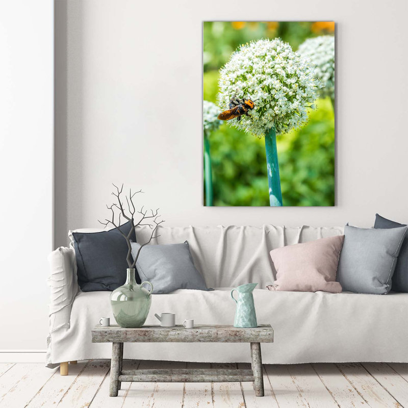 Garlic Flowers - Wrapped Canvas Print
