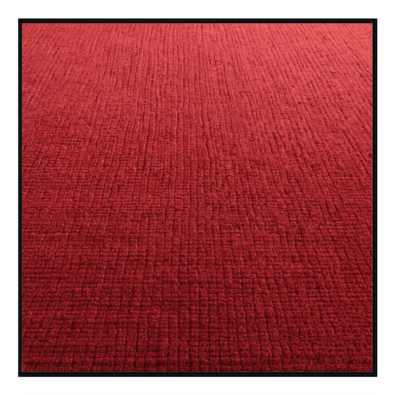 Machine Washable Solid Red Area Rug, Square 4'