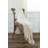 Hand Woven Throw Blanket-1687634909