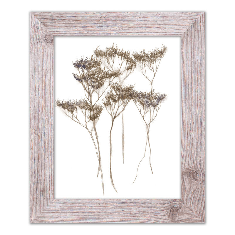"Fleurs séchées III", reproduction encadrée, Blanc