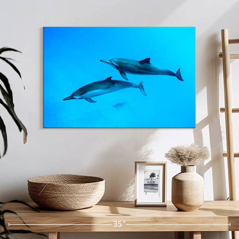 Brampt Maui Spinner Dolphins, 16" H x 24" W