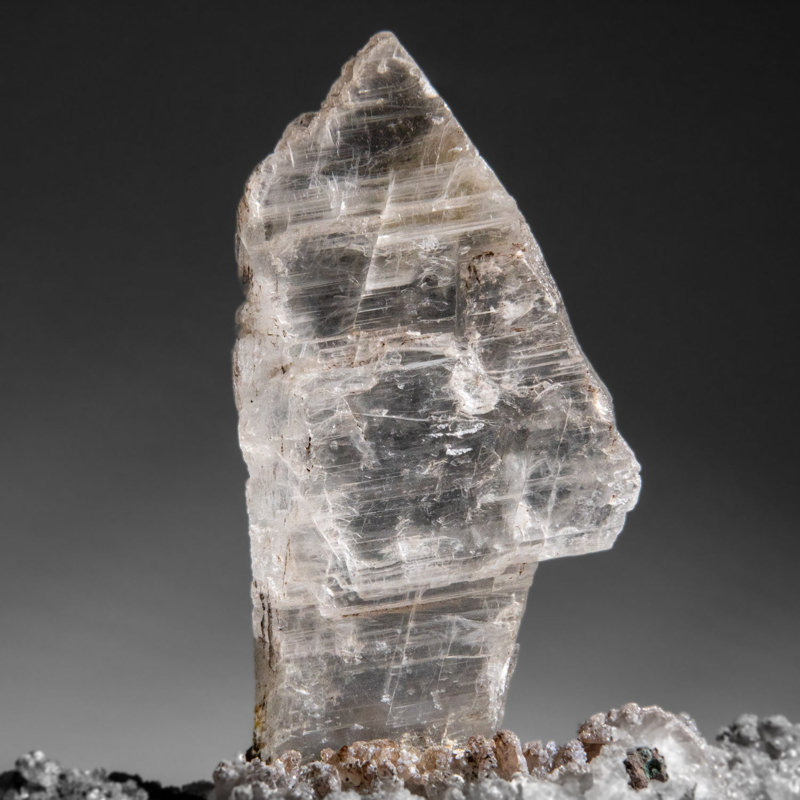Gypsum Var. Selenite On Matrix From Rio Grande Do Sul, Brazil (2.5 Lbs)