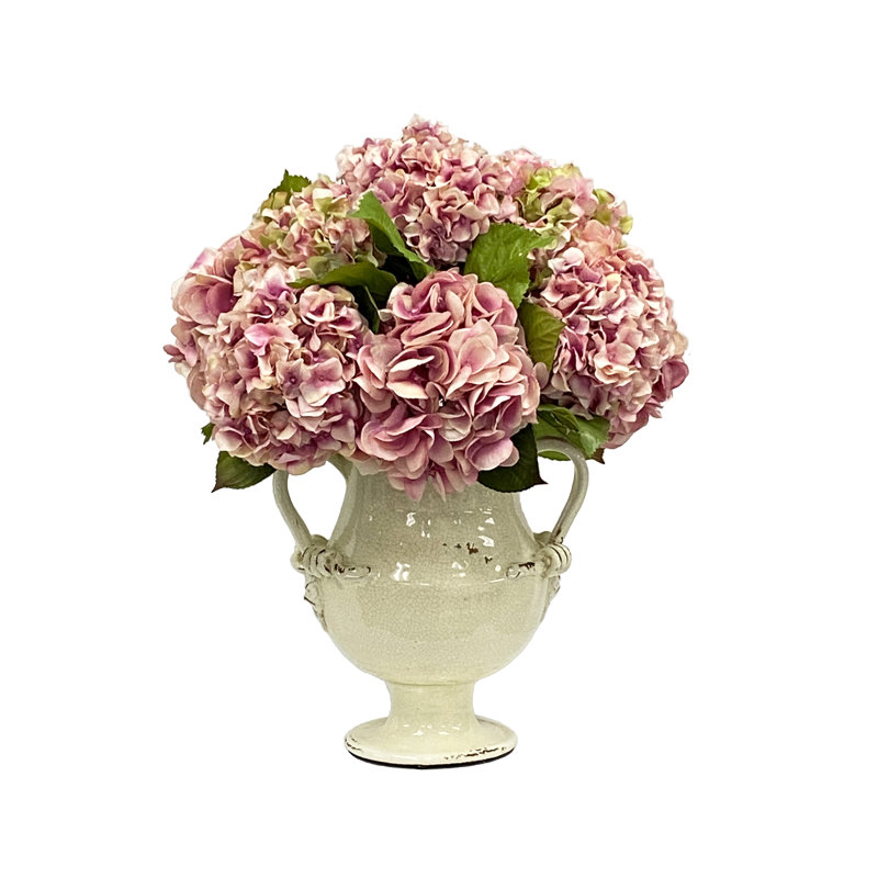 Hydrangea in Pot