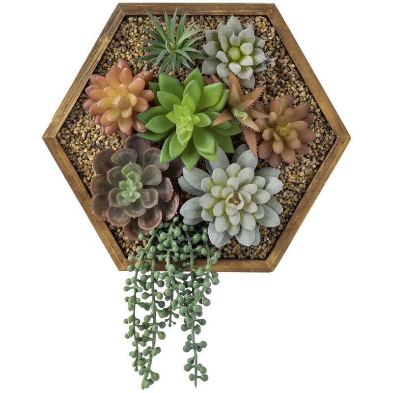 11.41'' Faux Succulent in Solid Wood Planter