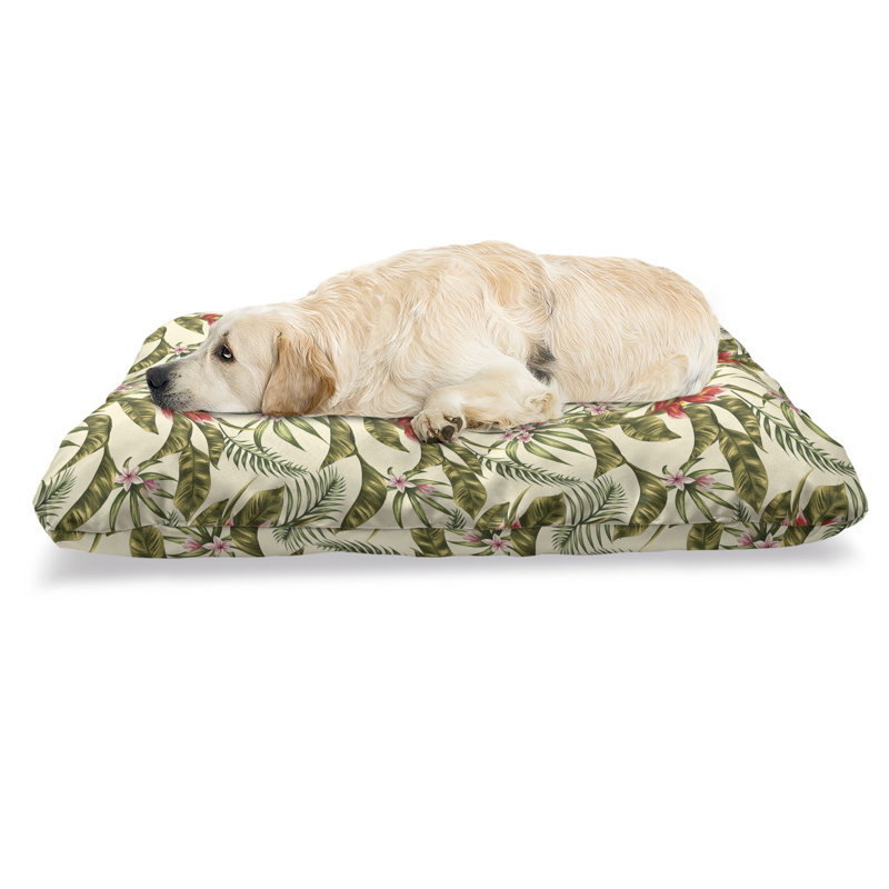Lit pour animal de compagnie Ambesonne Leaf, motif Aloha romantique avec un look rétro Oiseaux de paradis et fleurs de Plumeria, coussin résistant à mâcher pour chien et chat avec housse amovible, 24 po x 39 po, multicolore