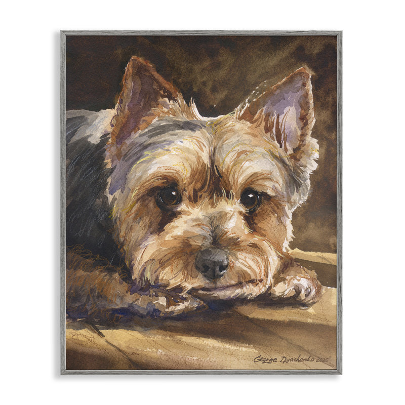 Yorkshire Terrier, dessin de giclée par George Dyachenko, Giclée de ferme grise encadrée, H 30 po x l 24 po
