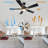 Briyan 52'' Ceiling Fan with LED Lights-683192710