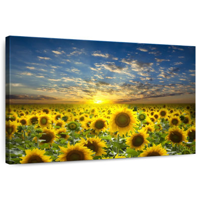 Alvord Sunflower Field Sunset Horizon