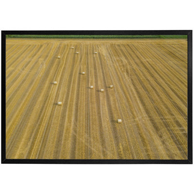 Rapheale Single Picture Frame Print