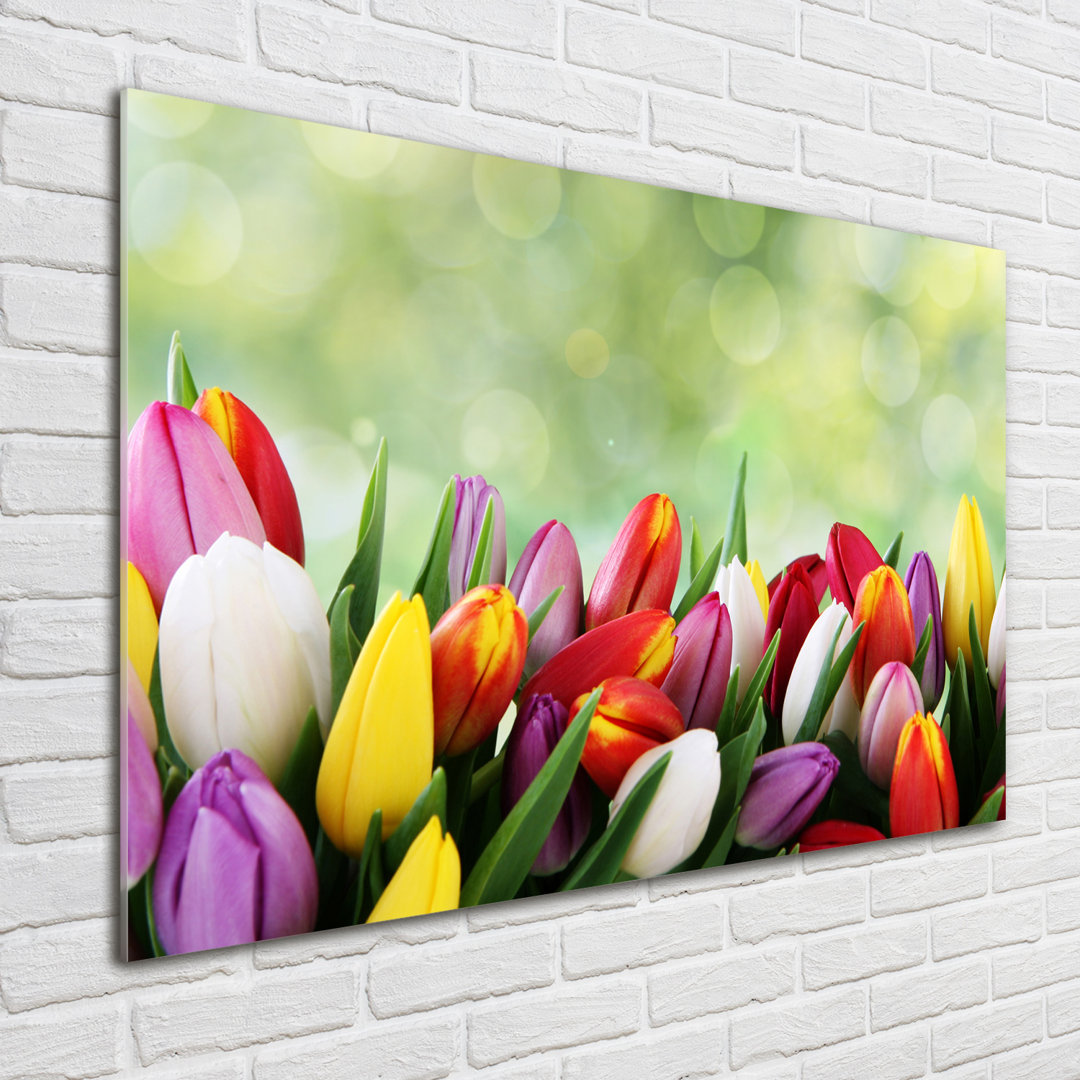 Glasbild Bunte Tulpen