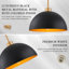 Luminaires suspendus à dôme à 2 lumières-1449620249
