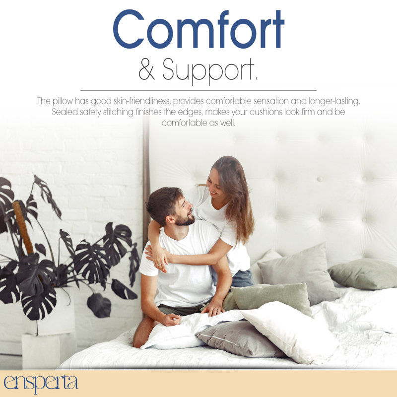  Pillow Insert