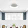 Laylind LED Flush Mount