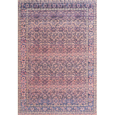 Mcclamma Chenille Oriental Indoor Rug