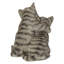 Chatons étreignant-67579696