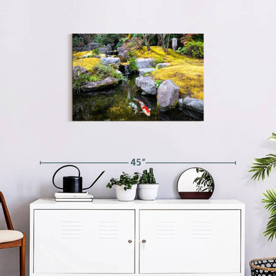 Crowle Pond Koi Fish