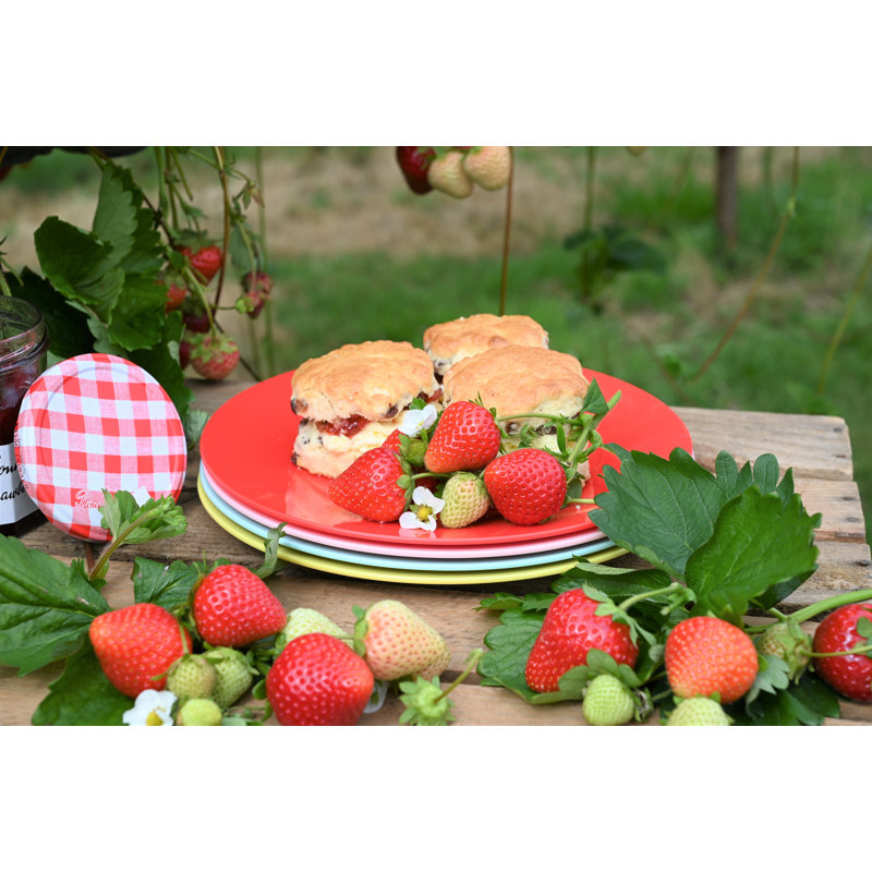 Strawberries & Cream Picnic Plate set