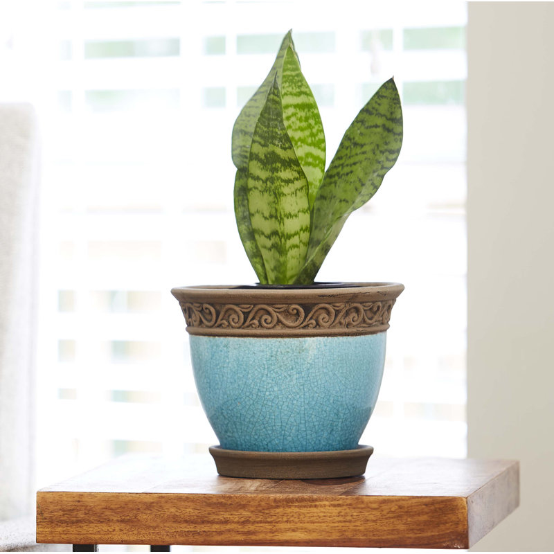 Pot à fleur en céramique avec soucoupe Cadiz