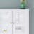 Medicine Cabinet