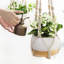 Paquet de 3 cintres pour plantes d'intérieur en macramé de différentes tailles