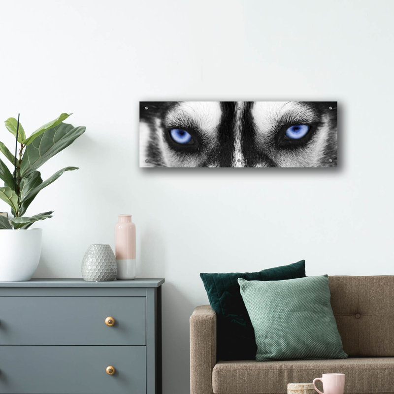 " Husky " by PhotoINC Studio, 12" H x 36" W