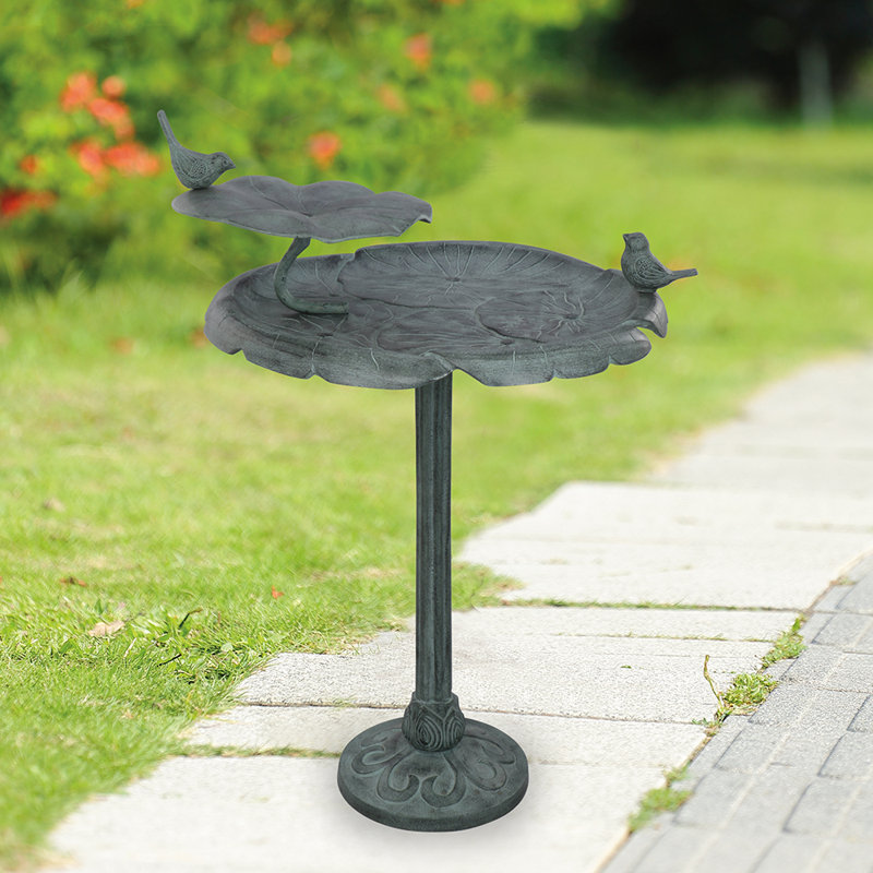 Bird Chat on Lotus Birdbath