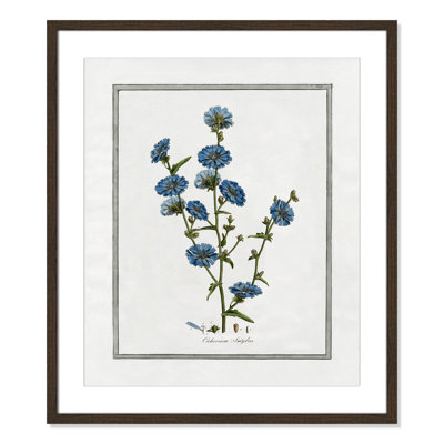 Colombe "Soft Botanical I" Print