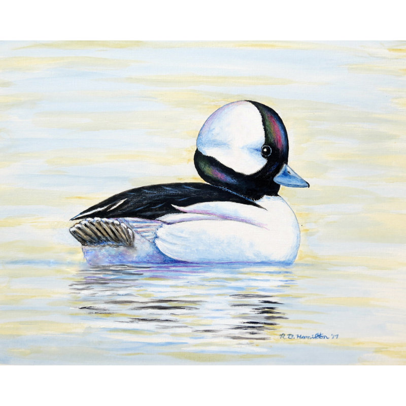 Tapis de porte d’extérieur anti-dérapant bufflehead canard Isaacson, Rectangle 2,5 pi x 4,1 pi