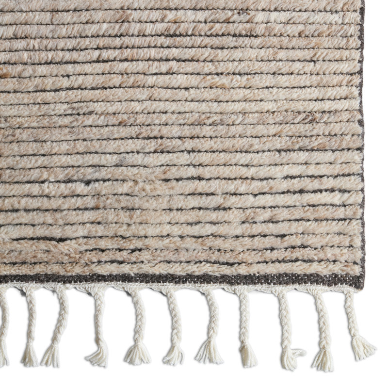 Jaipur Living Alpine ALP06 Handknotted Solid Tan and Brown Area Rug (9'x12'), Rectangle 10' x 14'
