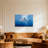 Animals Underwater Shark Swimming In Ocean Light-582059168