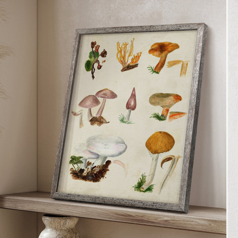 «Mushroom Species VI», reproduction encadrée - bois massif