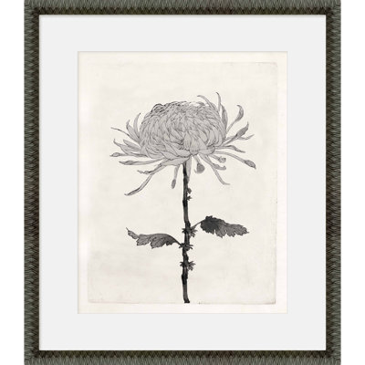 Martha Stewart Perry Street Paper Wall Art, Modern Floral Study II, 23.75" x 27.75", Living Room and Bedroom Decor, Framed