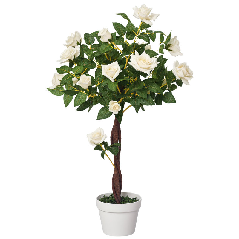 Charleston 90cm Plant, White