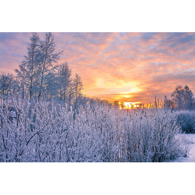 Paysage d'hiver - photographie sur toile tendue