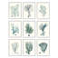 Arrangement de coraux profonds, plante de l'océan bleu par Johann Esper-70677950-70677952