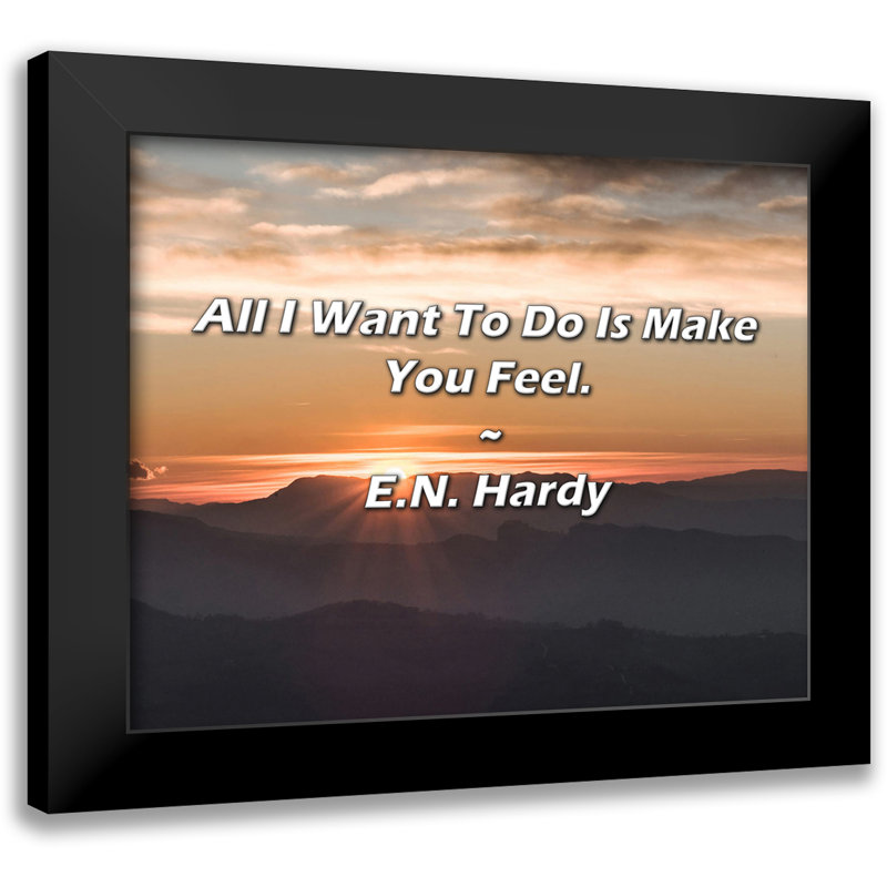 E.N. Hardy Quote: All I Want To Do Is Make You Feel.