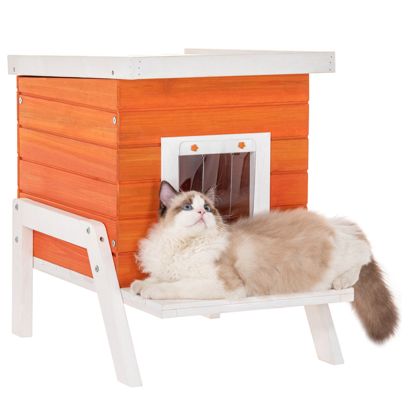 Maison pour chat Eyuel, Orange/Blanc