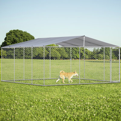 Chenil d'extérieur pour chien TG avec toit - 181 po x 181 po x 72,88 po, spacieux pour les grandes races, avec porte à charnière sécuritaire, verrou verrouillable, facile à installer, eau de fer argentée - gros chiens, protection contre les intempéries, porte