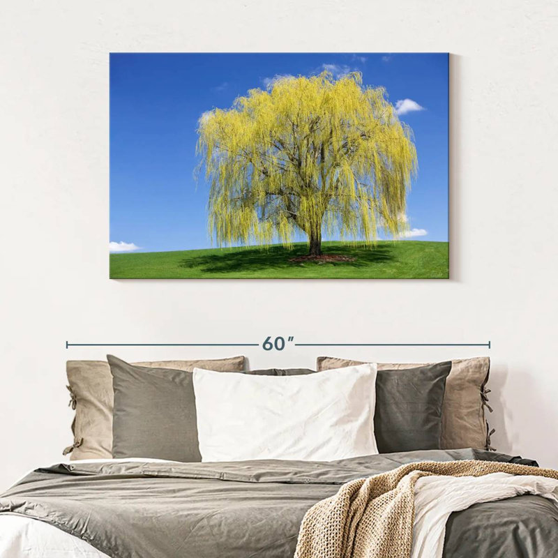 Harnek Spring Weeping Willow, 32" H x 48" W