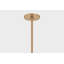 Troy Lighting Ellory 13 Light Chandelier in Patina Brass-1619250553