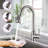MAXWELL Hesser Pull Down Kitchen Faucet-49431353
